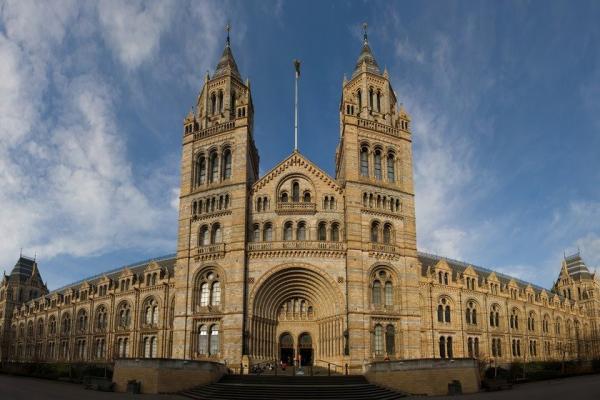 با تور مجازی از کلیسای طبیعت در لندن بازدید کنید